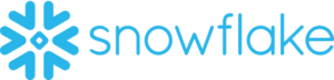 Snowflake_Logo.svg (1)
